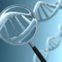 dna-magnifier.jpg